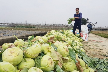 Bộ Công Thương hướng dẫn thu mua, tiêu thụ nông sản của vùng đang có dịch