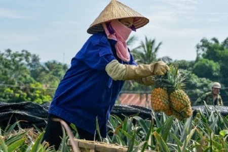 Thanh Hóa: Đẩy mạnh các hoạt động hỗ trợ phát triển sản xuất, hỗ trợ nông dân