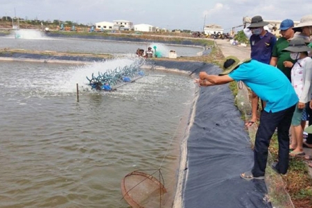 Kiểm soát an toàn thực phẩm thủy sản xuất khẩu và nhập khẩu