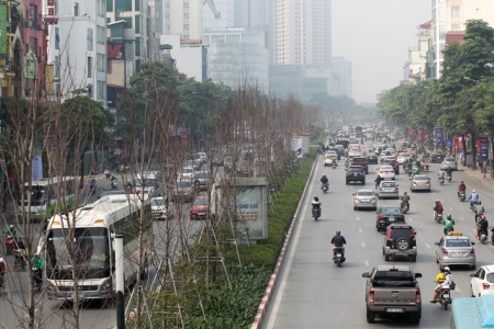 Hà Nội: Lại trồng thay bàng lá nhỏ trên đường Nguyễn Chí Thanh