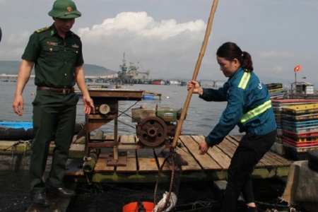 Vụ cá chết bất thường tại vùng biển Nghi Sơn (Thanh Hóa): Khuyến cáo người dân không bán cá chết ra thị trường