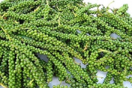 Giá tiêu ngày 9/4, giảm nhẹ 500 đồng/kg