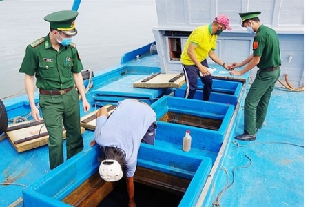 Bà Rịa - Vũng Tàu: Bắt tàu chở 80.000 lít dầu D.O không rõ nguồn gốc