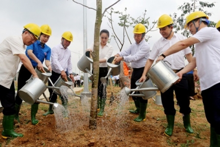 Tổng Công ty Điện lực miền Bắc trồng 500 cây xanh tại Khu Di tích lịch sử Đền Hùng