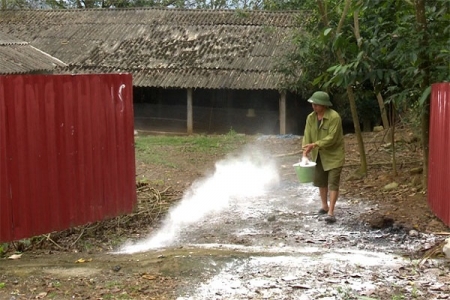 Lào Cai: Thực hiện các biện pháp phòng, chống bệnh dịch tả lợn châu Phi