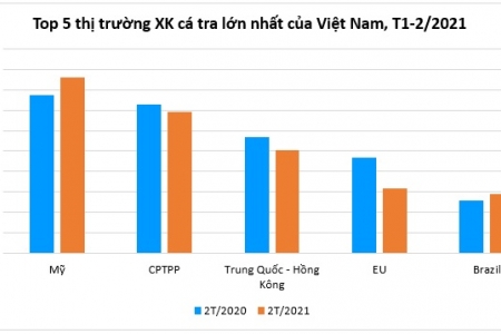 Xuất khẩu cá tra bắt đầu phục hồi