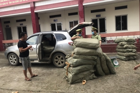 Cao Bằng: Thu giữ 579 kg nguyên liệu thuốc lá không rõ nguồn gốc xuất xứ