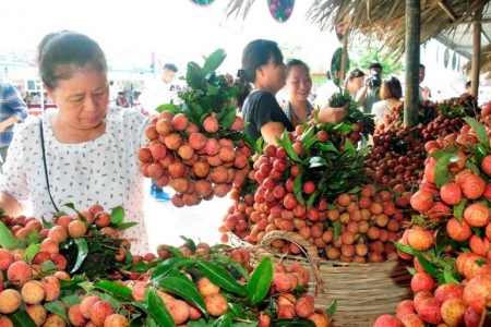 Tạo điều kiện thuận lợi trong lưu thông hàng hóa, nông sản