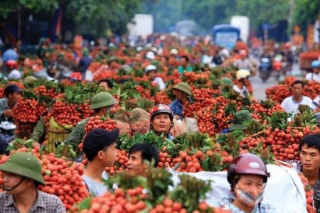 Giao các Cục Quản lý thị trường hỗ trợ tiêu thụ nông sản