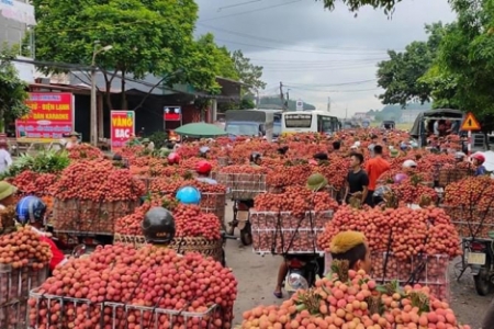 Ứng dụng chuyển đổi số để tiêu thụ vải thiều