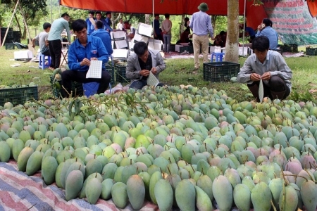 Liên kết “4 nhà” để quảng bá đặc sản địa phương ra nước ngoài