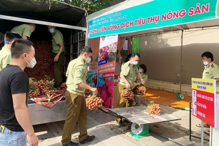 Cục QLTT Lạng Sơn: Chung tay hỗ trợ tiêu thụ vải thiều địa phương vùng dịch