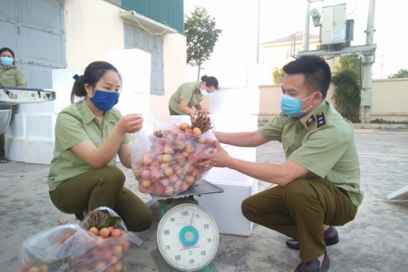 Cục Quản lý thị trường tỉnh Thanh Hóa hỗ trợ tiêu thụ hơn 110 tấn vải thiều Bắc Giang