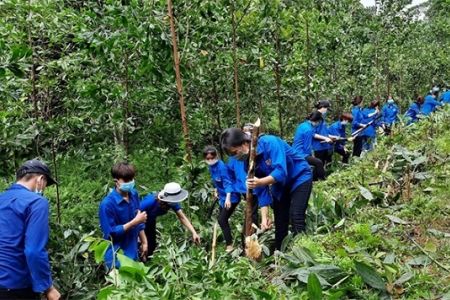 Lục Yên (Yên Bái) ra quân Chiến dịch thanh niên tình nguyện hè