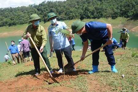 Tuyên Quang: Trồng 0,5 ha cây lim xẹt và đào rừng tại khu vực thác Khuổi Nhi