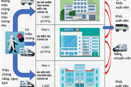 TP.HCM: Huy động 200 xe khách chuyên dụng tham gia vận chuyển người bệnh Covid-19