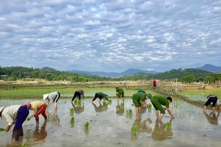 Công an Thanh Hóa lội bùn giúp dân cấy lúa giữa đại dịch Covid-19