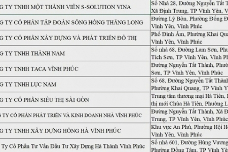 Vĩnh Phúc “bêu tên” gần 180 doanh nghiệp nợ tiền thuế kéo dài