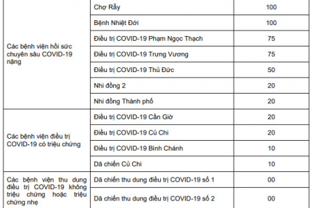 TP.HCM: Kế hoạch điều trị với kịch bản 500 trường hợp COVID-19 nặng