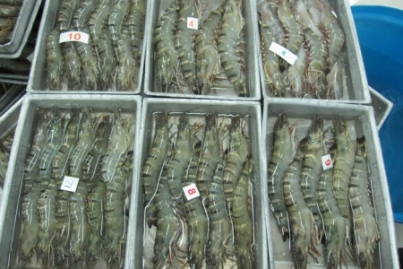 Mỹ đánh thuế chống bán phá giá cao với tôm Ấn Độ
