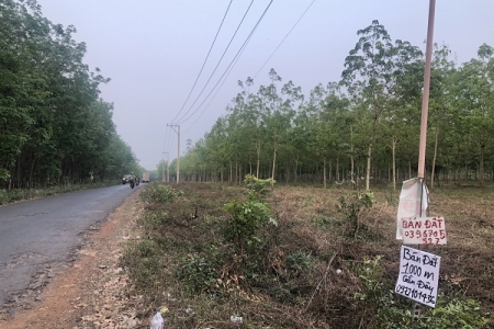 ‘Cò đất’ thổi giá, làm sao để không bị cuốn vào vòng xoáy sốt ảo?