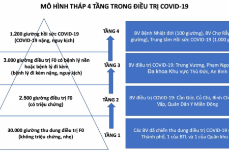 TP.HCM: Sớm đưa vào hoạt động Trung tâm Hồi sức COVID-19 quy mô 1.000 giường