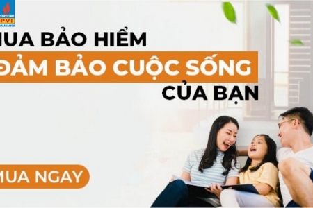 Mua Bảo hiểm PVI online trên Sendo – Bảo vệ cuộc sống trong thời đại số