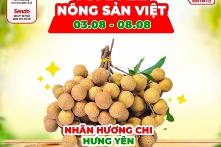 Lần đầu tiên đặc sản nhãn lồng Hưng Yên được bán trên sàn thương mại điện tử Sendo