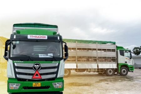 THILOGI đảm bảo duy trì chuỗi giá trị từ chăn nuôi, chế biến đến tiêu thụ