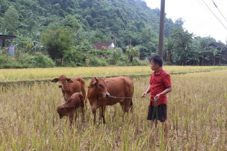 Thanh Hóa: Huy động nguồn lực xã hội để thực hiện hiệu quả mục tiêu giảm nghèo tại khu vực miền núi