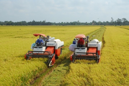 Bộ Công Thương kiến nghị tạo thuận lợi cho doanh nghiệp tiếp cận nguồn vốn thu mua thóc, gạo