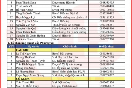 TP. HCM: Công bố danh sách 312 tổ phản ứng nhanh cấp cứu F0 cách ly tại nhà