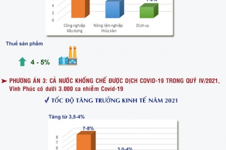 Vĩnh Phúc lên 4 kịch bản tăng trưởng kinh tế ứng với mức độ dịch bệnh Covid-19