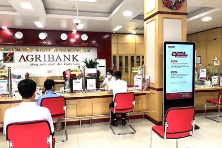 Agribank đã giải ngân hơn 116 ngàn tỷ đồng và 122 triệu USD cho vay ưu đãi hỗ trợ người dân, doanh nghiệp