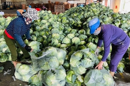 Lào Cai: Chủ động nguồn hàng, ứng phó kịp thời trong trường hợp giãn cách xã hội toàn tỉnh