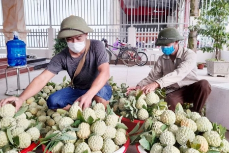 Tháo gỡ khó khăn trong lưu thông nông sản giúp người dân yên tâm sản xuất