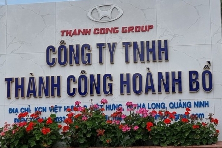 Quảng Ninh: Xử phạt 300 triệu đồng đối với công ty có hành vi huỷ hoại đất