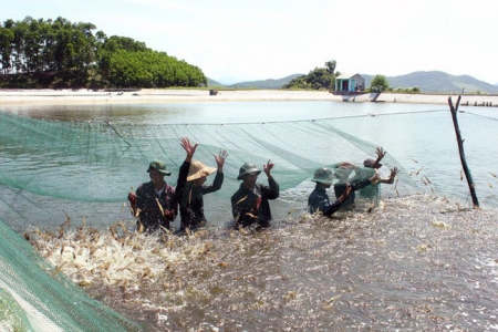 Hà Nội lên kế hoạch mở rộng diện tích nuôi trồng thủy sản