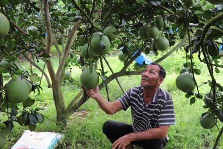 Đồng Nai: Nông dân được bổ sung vào đối tượng được cấp giấy đi đường