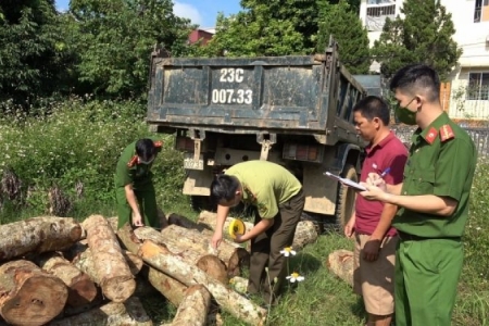 Cao Bằng: Bắt giữ xe tải chở gần 2m3 gỗ tự nhiên không rõ nguồn gốc