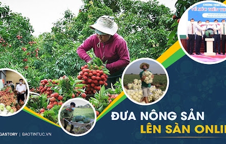 Đắk Lắk: Hỗ trợ đưa hộ sản xuất nông nghiệp lên sàn thương mại điện tử