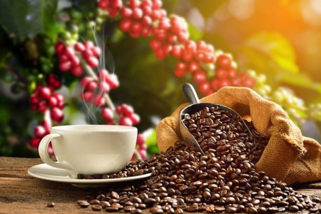 Giá cà phê ngày 9/10: Giá cà phê Arabica tiếp tục tăng mạnh