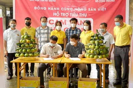Hà Giang: 10 tấn cam vàng đầu tiên được tiêu thụ qua sàn giao dịch thương mại điện tử Postmart