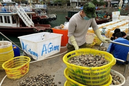 Quảng Ninh: Khơi thông chuỗi tiêu thụ, tiếp sức cho doanh nghiệp