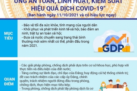 Trực tiếp Tọa đàm “Nghị quyết 128 - hướng tới bình thường mới”