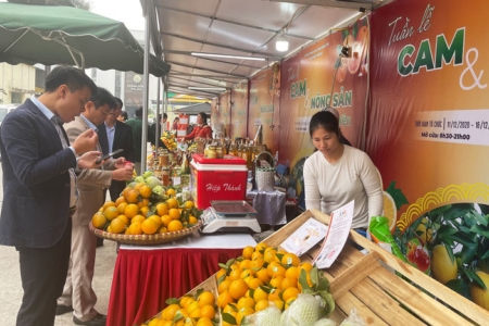 Hưng Yên: Tăng cường kết nối, liên kết để mở rộng thị trường tiêu thụ quả và sản phẩm cây có múi