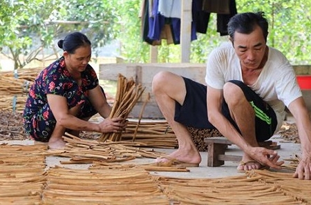 Cấp giấy chứng nhận quyền sử dụng nhãn hiệu cho 3 sản phẩm của huyện Trấn Yên, tỉnh Yên Bái