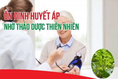 Thảo dược thiên nhiên - Giải pháp ổn định huyết áp an toàn, hiệu quả