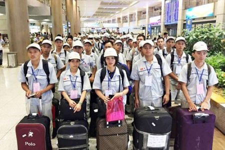 33 doanh nghiệp xuất khẩu lao động bị tạm dừng đăng ký hợp đồng