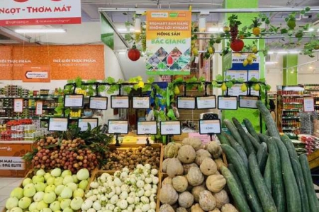 Doanh nghiệp Việt ứng phó với Covid -19 như thế nào?